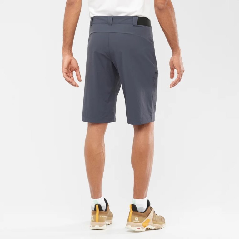 Navy Salomon Wayfarer Men's Shorts | PH 23459F